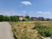 Teren+proiect- Berceni 