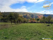 Casa cu anexe si 1.169 mp teren intravilan, in Zagon, judetu 