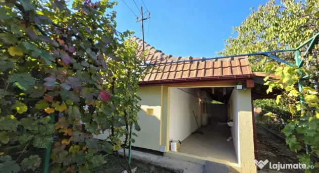 Casa individuala cu 4 camere, curte generoasa si anexa in Pl - Timisoara (Timis)