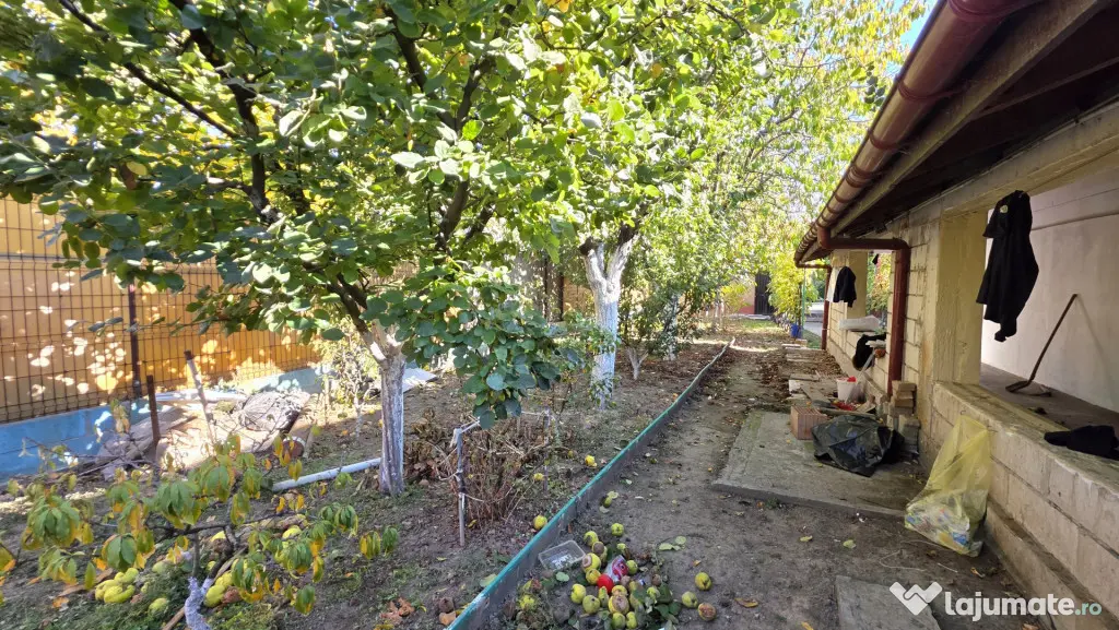 Casa individuala cu 4 camere, curte generoasa si anexa in Pl - Timisoara (Timis)