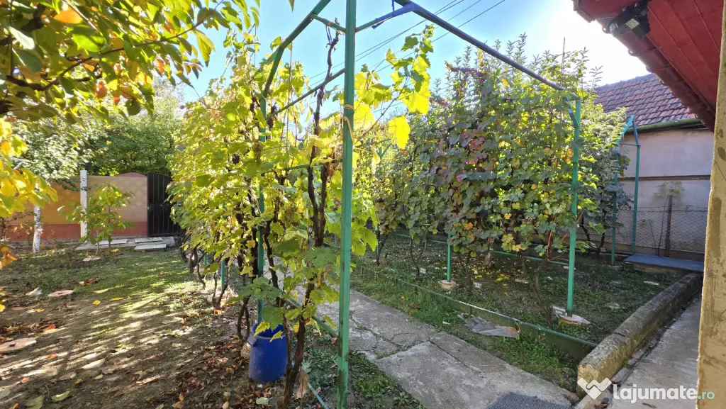 Casa individuala cu 4 camere, curte generoasa si anexa in Pl - Timisoara (Timis)