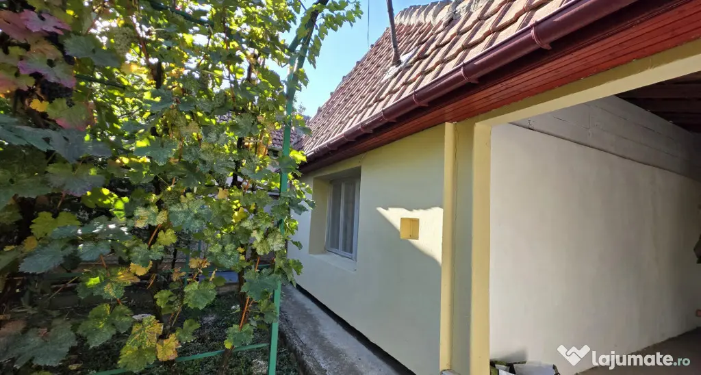 Casa individuala cu 4 camere, curte generoasa si anexa in Pl - Timisoara (Timis)