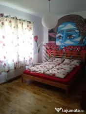 Casa individualapretabil pensiune pe Clisura Dunarii 