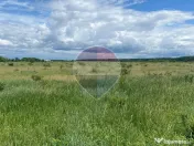 DE VANZARE Teren intravilan 5.000 mp – Sector 1, Piscu Moșului 