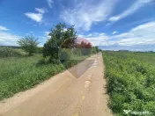 DE VANZARE Teren intravilan 5.000 mp – Sector 1, Piscu Moșului 