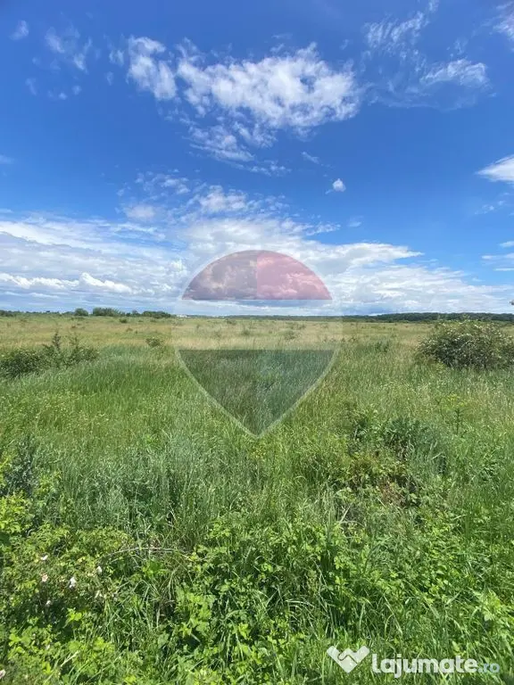 DE VANZARE Teren intravilan 5.000 mp – Sector 1, Piscu Moșului - Bucuresti (Bucuresti-Ilfov)