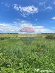 DE VANZARE Teren intravilan 5.000 mp – Sector 1, Piscu Moșului 