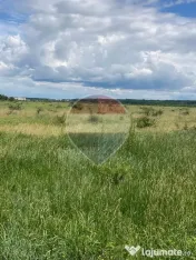 DE VANZARE Teren intravilan 5.000 mp – Sector 1, Piscu Moșului 