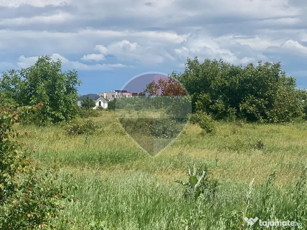 DE VANZARE Teren intravilan 5.000 mp – Sector 1, Piscu Moșului - Bucuresti (Bucuresti-Ilfov)