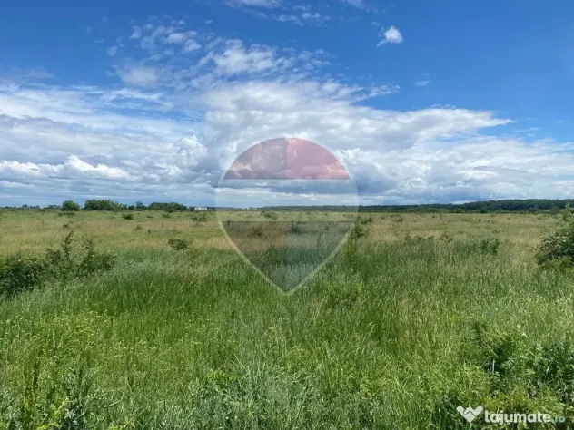 DE VANZARE Teren intravilan 5.000 mp – Sector 1, Piscu Moșului - Bucuresti (Bucuresti-Ilfov)