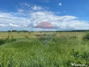 DE VANZARE Teren intravilan 5.000 mp – Sector 1, Piscu Moșului 