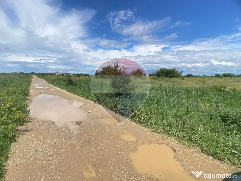 DE VANZARE Teren intravilan 5.000 mp – Sector 1, Piscu Moșului - Bucuresti (Bucuresti-Ilfov)