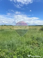 DE VANZARE Teren intravilan 5.000 mp – Sector 1, Piscu Moșului 