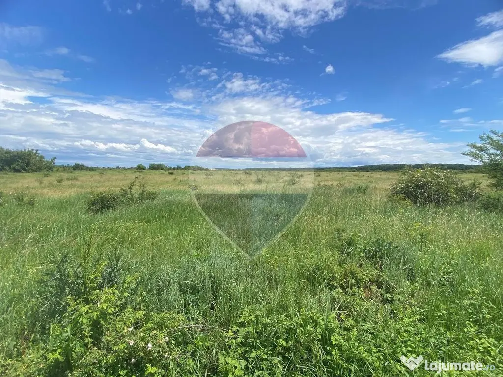 DE VANZARE Teren intravilan 5.000 mp – Sector 1, Piscu Moșului - Bucuresti (Bucuresti-Ilfov)