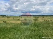 DE VANZARE Teren intravilan 5.000 mp – Sector 1, Piscu Moșului 
