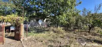 Casă bătrânească vanzare Curatesti, Calarasi 