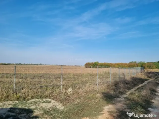 Teren industrial Pantelimon Cernica - Pantelimon (Bucuresti-Ilfov)