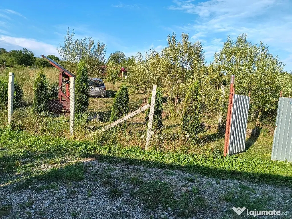 Teren, 10 ari, Sigmir - Sigmir (Bistrita-Nasaud)