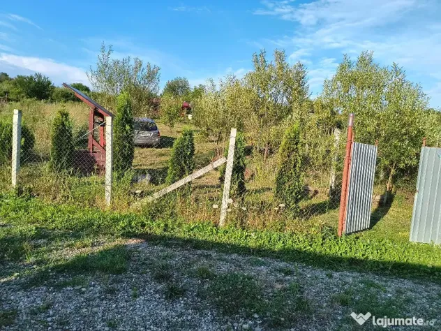 Teren, 10 ari, Sigmir - Sigmir (Bistrita-Nasaud)