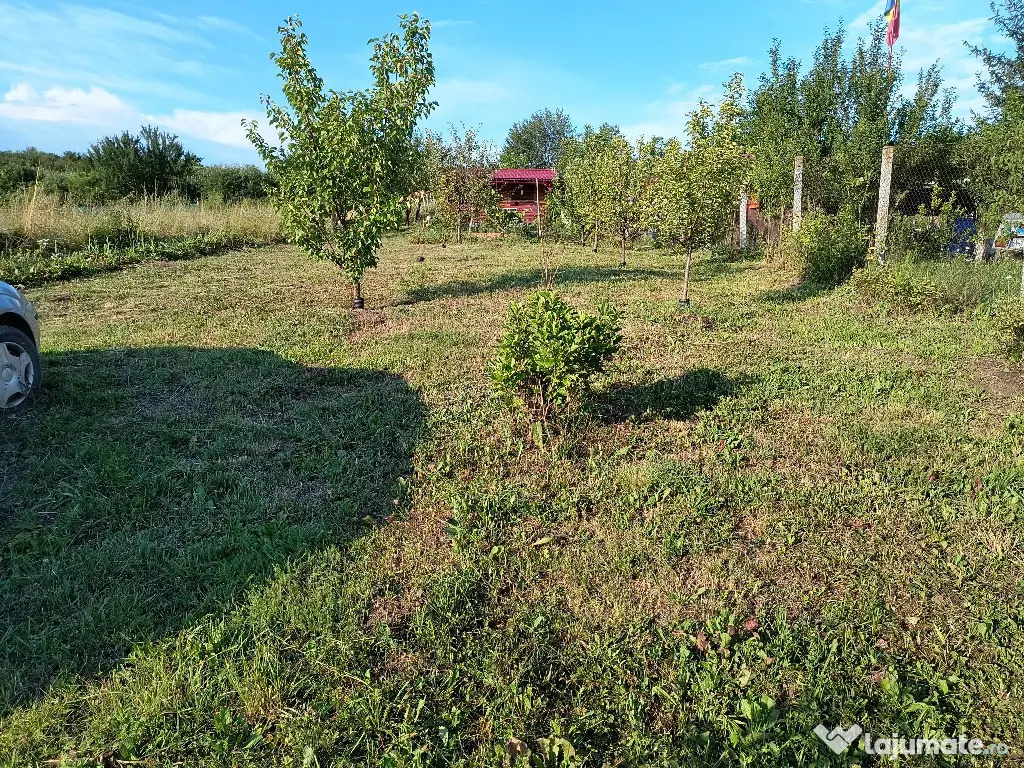 Teren, 10 ari, Sigmir - Sigmir (Bistrita-Nasaud)