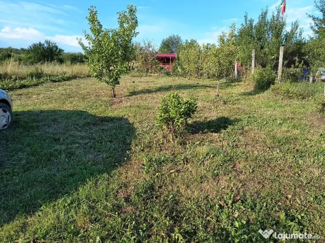 Teren, 10 ari, Sigmir - Sigmir (Bistrita-Nasaud)