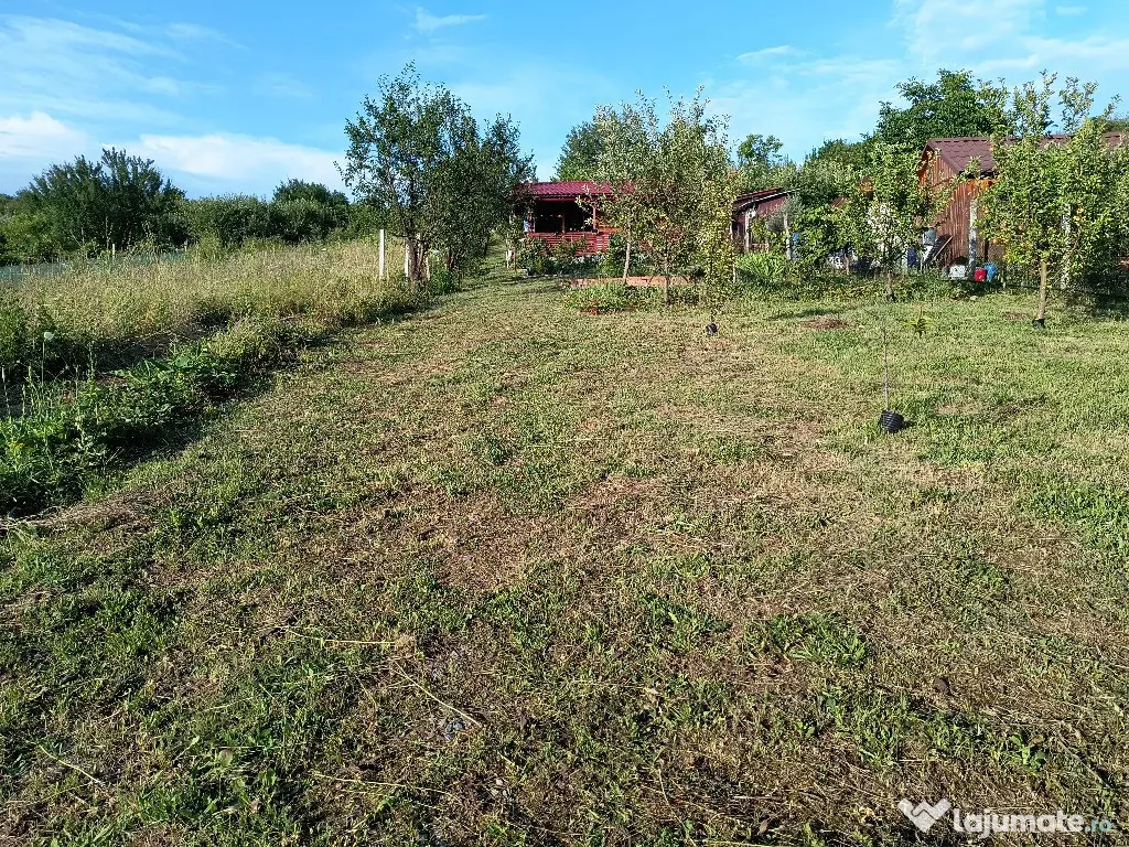 Teren, 10 ari, Sigmir - Sigmir (Bistrita-Nasaud)