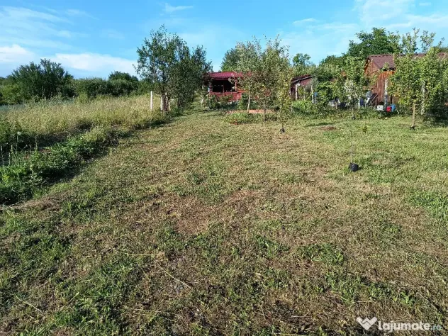 Teren, 10 ari, Sigmir - Sigmir (Bistrita-Nasaud)