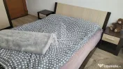 Apartament 2 camere cu boxa de vanzare, zona Dacia, Timisoara 
