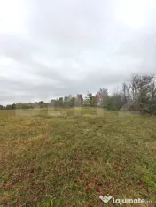 Terenuri intravilane 2.500–5.000 mp | Preturi de la 10 €