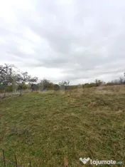 Terenuri intravilane 2.500–5.000 mp | Preturi de la 10 €
