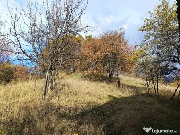 Casă cu teren generos de 40 ari și panoramă deosebită ? - Cavnic (Maramures)