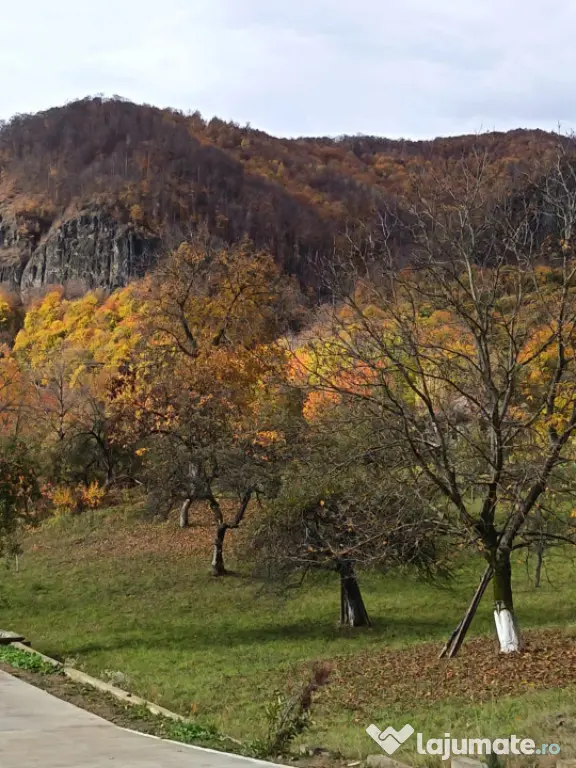 Casă cu teren generos de 40 ari și panoramă deosebită ? - Cavnic (Maramures)
