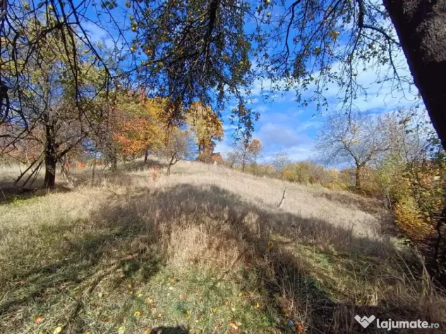 Casă cu teren generos de 40 ari și panoramă deosebită ? - Cavnic (Maramures)