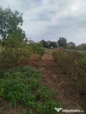 Casă renovată P+1 - 5 camere și teren generos de 1.300 mp 