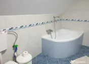 Casa / Vila ( D+P+E ) Zona Mitocul Dragomirnei 