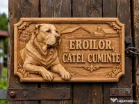 Plăcuță număr casă / stradală personalizată – Print 3D 50 lei 