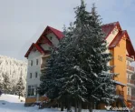 Pensiune in Arieseni , ctr 2009 , sc 910 mp , d+p+2e
