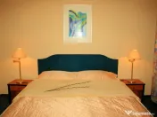 Pensiune in Arieseni , ctr 2009 , sc 910 mp , d+p+2e 