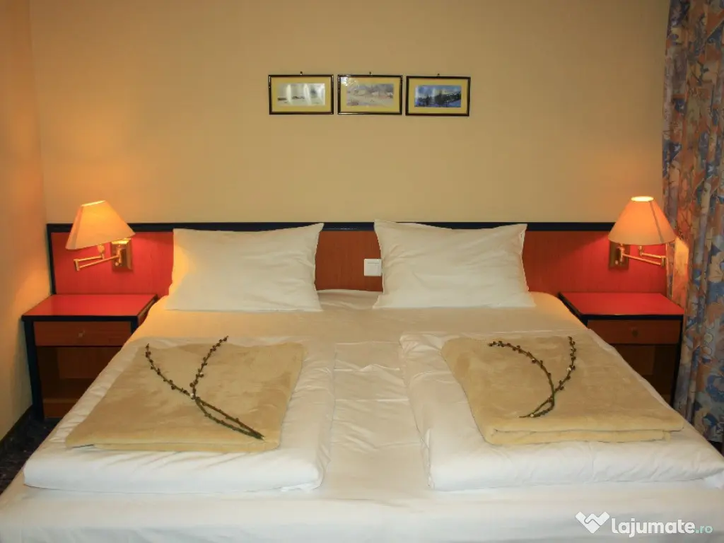 Pensiune in Arieseni , ctr 2009 , sc 910 mp , d+p+2e