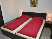 Pensiune 8 camere in Moneasa - ID : RH-10187-property 