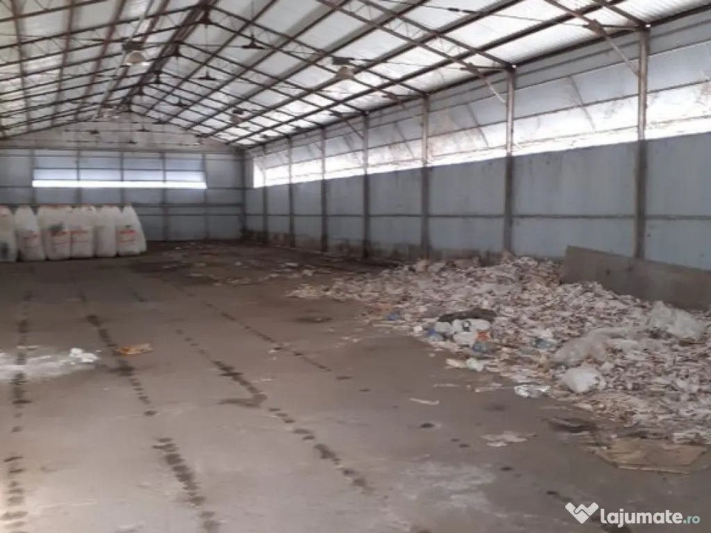 Hala industriala Frumusani - Buciumeni