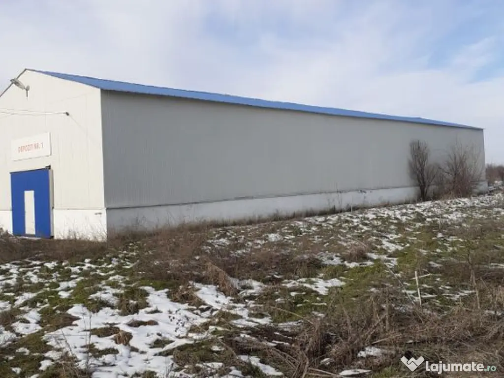 Hala industriala Frumusani - Buciumeni