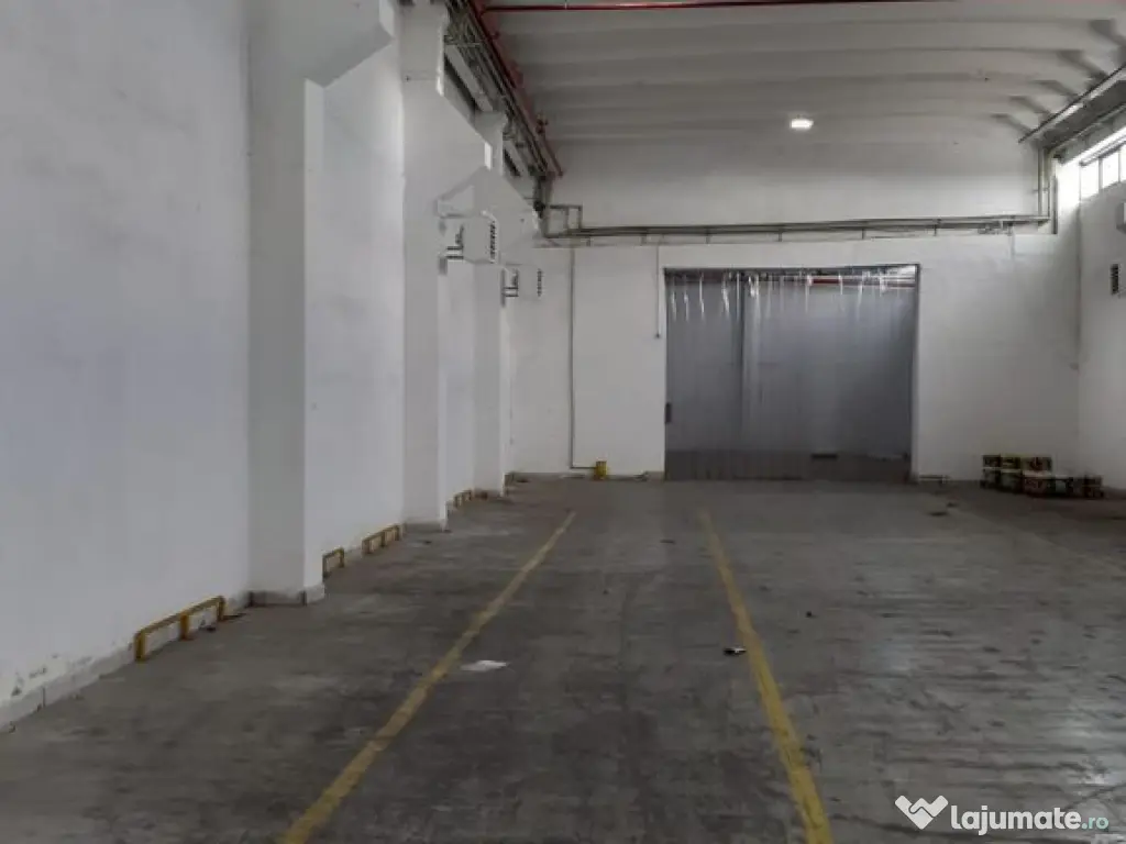 Hala industriala Frumusani - Buciumeni