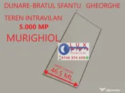 ID 7329 Teren INTRAVILAN Dunare * Murighiol 