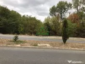 Teren Dem Radulescu / 1731mp 