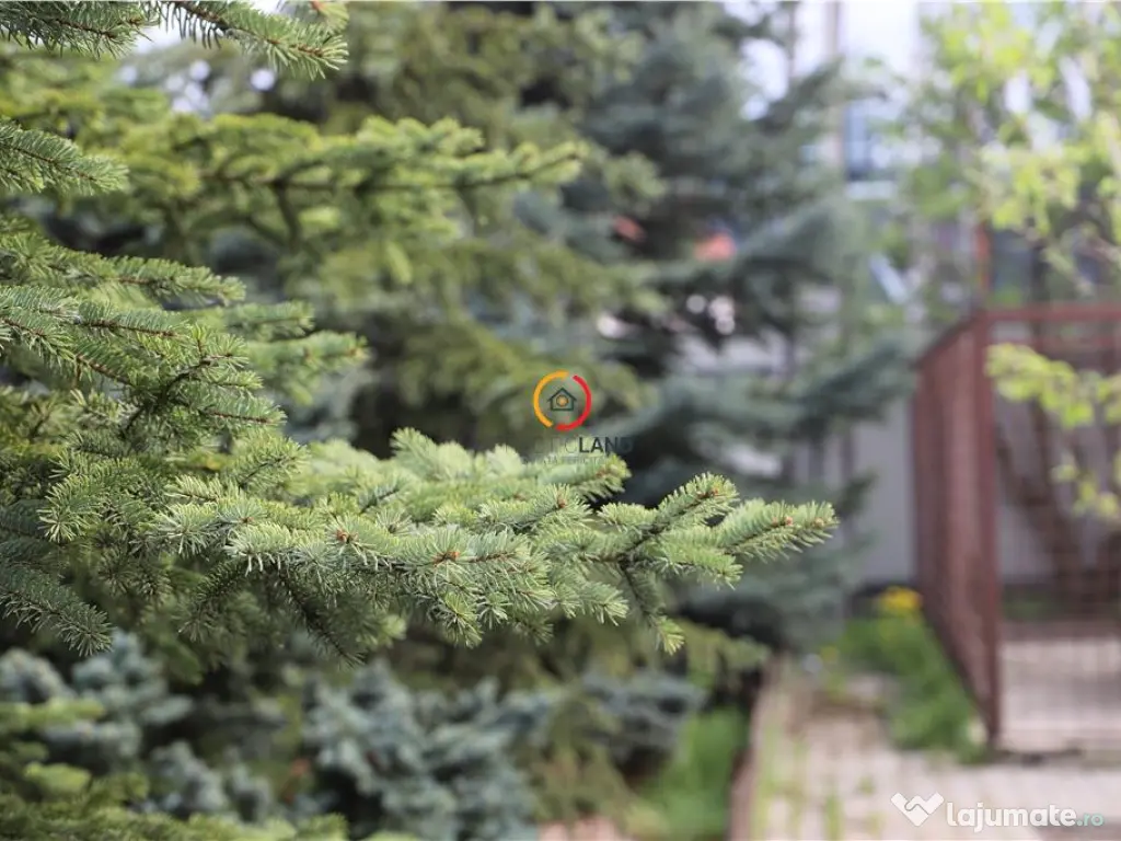 Teren intravilan18.000 mp pentru dezvoltare comerciala