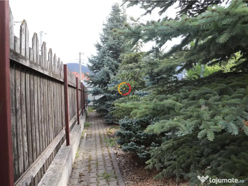 Teren intravilan18.000 mp pentru dezvoltare comerciala