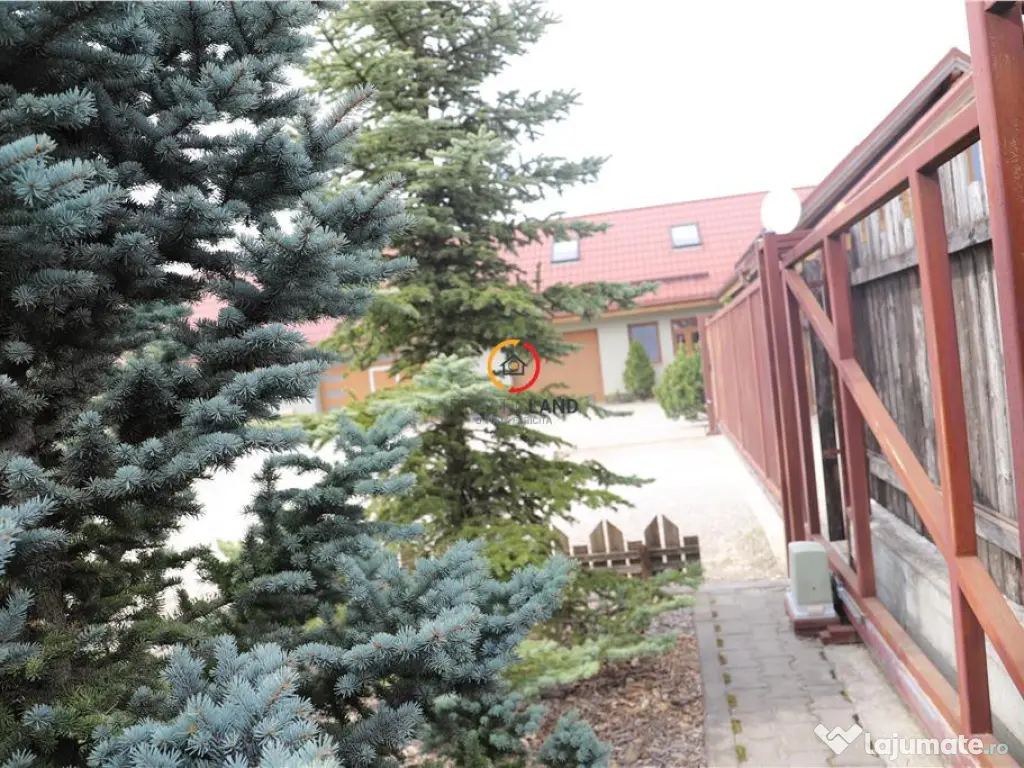 Teren intravilan18.000 mp pentru dezvoltare comerciala