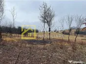 Teren de Ardeoani / Strada Livezilor 