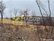 Teren de Ardeoani / Strada Livezilor 